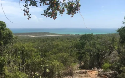 QUIQUE ANTÚN: “EL TSA NO TIENE AUTORIDAD PARA RECORTAR JARAGUA”